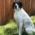 Jeff Comstock - @comstock7562 - Instagram
