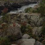 Jeff Conboy - @jeffconboy - Instagram