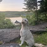 Jeff Condello - @condellojeff - Instagram