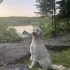 jeffcondello - @jeffcondello - TikTok