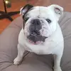 Jeff Condon - @jeff.condon - TikTok