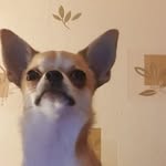Jeff Condon - @jeff.condon.35 - Instagram