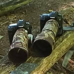 Wildlife Photographer Durham🇨🇦 - @jeffcondonretired - Instagram