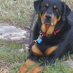 Jeff Condry - @jeffcondry - Instagram
