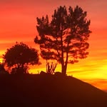 Conners Jeffrey - @jeffconners727 - Instagram