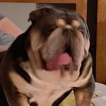 #jeff connor - @reggie20232023 - Instagram