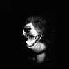 Jeff Cook - @jeffcooknw - TikTok