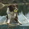 jeff cook - @jeff.cook78 - TikTok