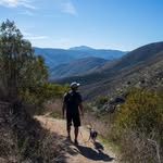 Jeff Marriott - @jeffcooks_jeffeats - Instagram