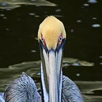 Jeff Cooley - @focusingoncreation - Instagram