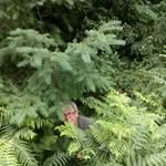 Jeff Coombes - @jeffcoombes3 - Instagram