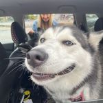 Jeff Copley - @jeffcopley1971 - Instagram