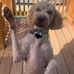 Jeffrey Copley - Facebook