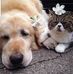 Jeff Cork ៚ - Facebook
