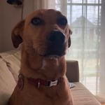 Jeff Cormier - @corm8807 - Instagram