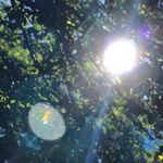 jeff cormier - @jeffffffyyyyyyy - Instagram