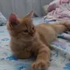 Jeff Cortez - @jeff.cortez7 - TikTok