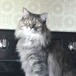 Jeff Cotterman - @jeff_cotterman - Instagram