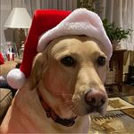 CoachRev Jeff - @cottingham.jeff - Instagram