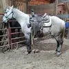 Jeff Cottrell - @jeff.cottrell2 - TikTok