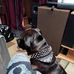Jeff Cottrell - Facebook
