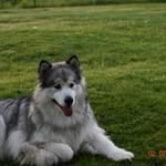 Jeffrey Coughlin - @jeffreycoughlin - Instagram