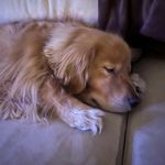 Jeff Creekmore - @jeffcreek44 - Instagram