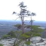 Jeff Crowder - @krazy.krane - Instagram