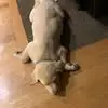 Jeff Crowder - @jeff.crowder8 - TikTok