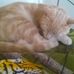 Jeff Cryer - Facebook