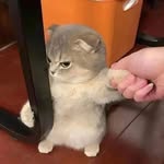 Jeff Cui - @jeff.c.737 - Instagram