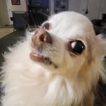 Jeff D. Dabbs - @jdd007 - Instagram