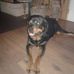 Jeff Darrah - Facebook