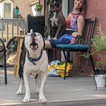 Jeff Davitz - @jeffdavitz - Instagram