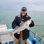 Jeff Davitz - @davitzjeff - Instagram