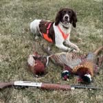 Jeff Dawn Hawbaker - @jeffdawnhawbaker - Instagram
