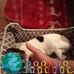 Jeff Deaton - Facebook