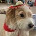 Jeff Dehner - Facebook