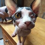 Jeff DeWeese - @jeff_deweese - Instagram