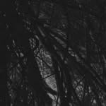 @jeffdewsnup - Instagram