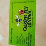 jeffdey - @cluster_fly_control - Instagram