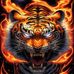 Jeff Doolan - Facebook