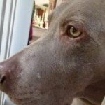 Jeff Dooley - @jeffdinnc - Instagram