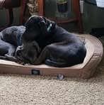Jeff Dosch - Facebook