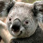 Jeff Downs - @downs.jeff - Instagram