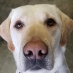 Jeff Downs - @downsy0609 - Instagram