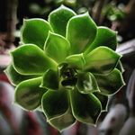Jeff Downs - @jld333 - Instagram