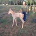 Jeff Dredge - Facebook