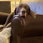 Jeff Dreher - @dbsnstuf2 - Instagram