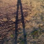 Jeff Drews - @drewsjeff - Instagram